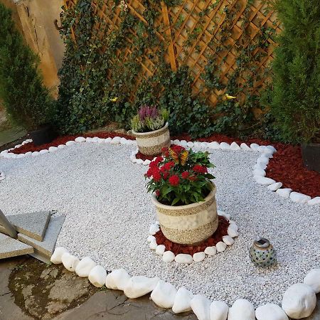 Duplex Alexander Apartment Brasov Bagian luar foto