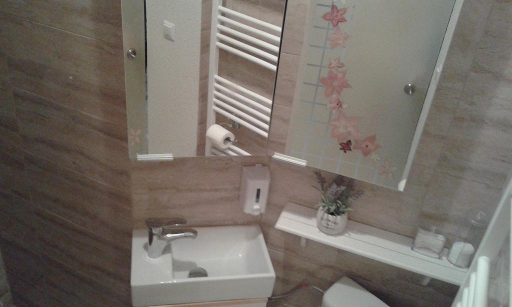 Duplex Alexander Apartment Brasov Bagian luar foto