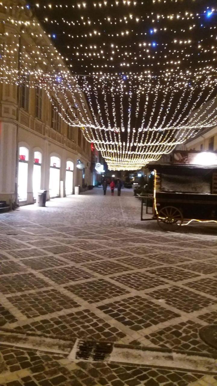 Duplex Alexander Apartment Brasov Bagian luar foto